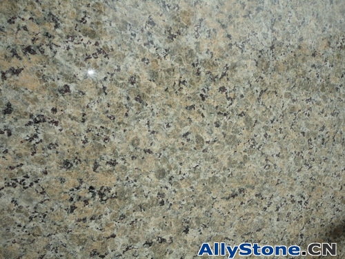 Butterfly Yellow Granite Tiles